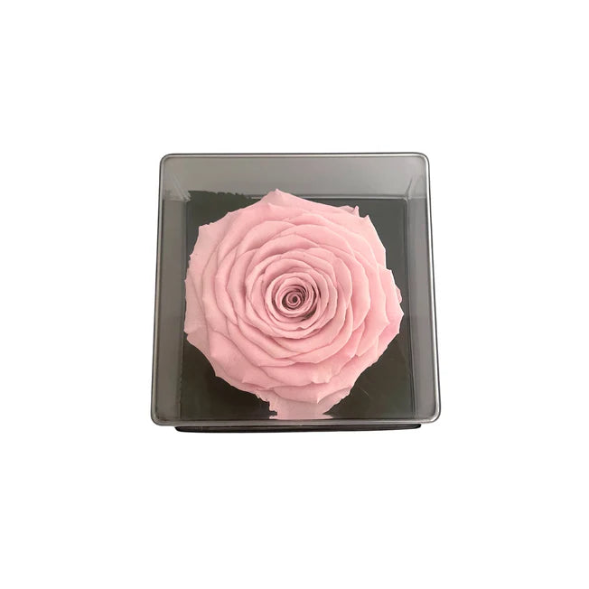 CAJA DE REGALO ACRILICA - CON ROSA PINK