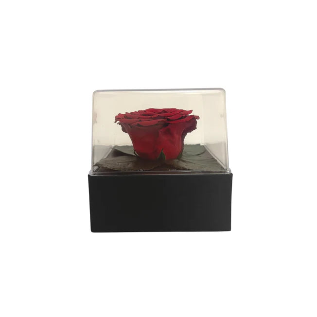 CAJA DE REGALO ACRILICA - CON ROSA ROJA