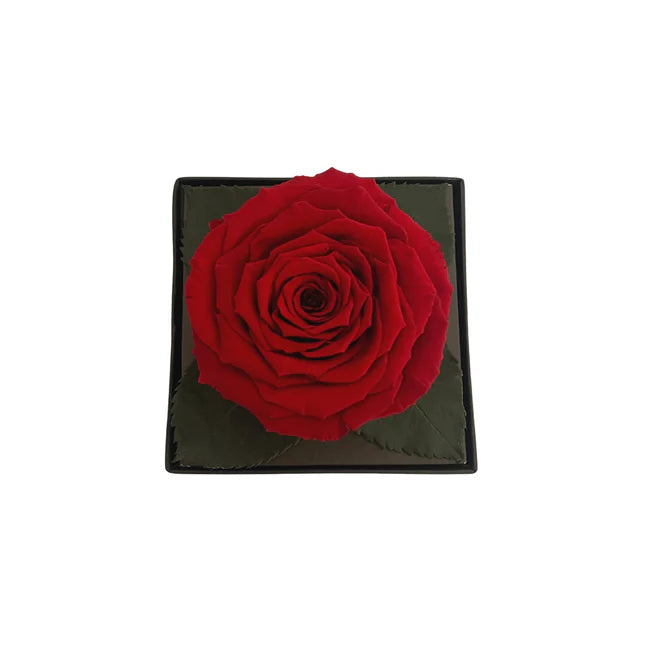 CAJA DE REGALO ACRILICA - CON ROSA ROJA