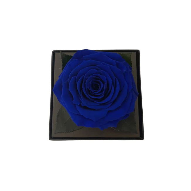 CAJA DE REGALO ACRILICA - CON ROSA BLUE
