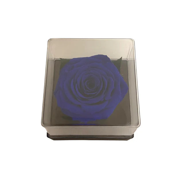 CAJA DE REGALO ACRILICA - CON ROSA BLUE