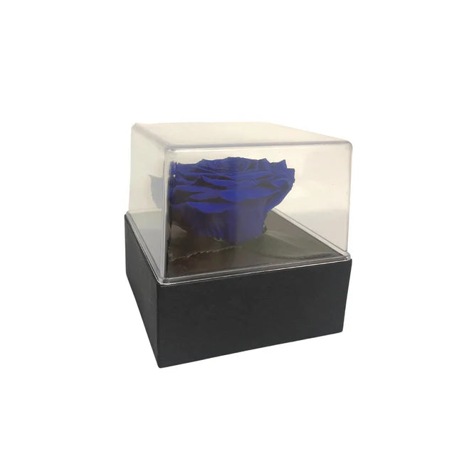 CAJA DE REGALO ACRILICA - CON ROSA BLUE