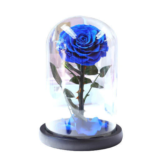 ROSA EN CÚPULA DE CRISTAL - INSPIRACION DE "LA BELLA Y LA BESTIA"