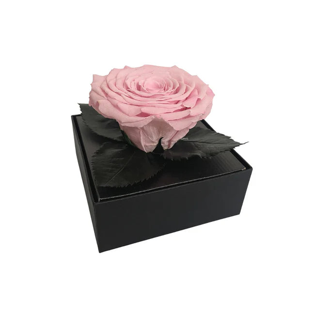 CAJA DE REGALO ACRILICA - CON ROSA PINK