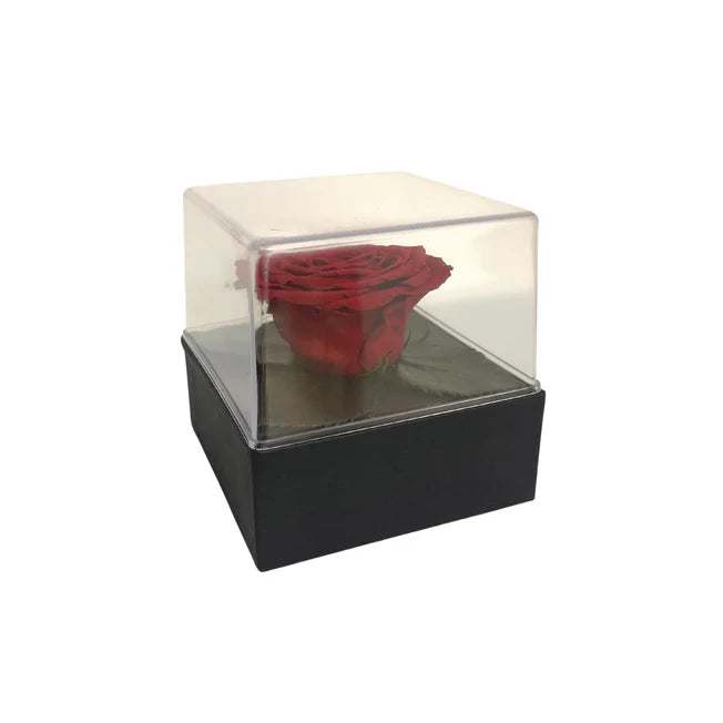 CAJA DE REGALO ACRILICA - CON ROSA ROJA