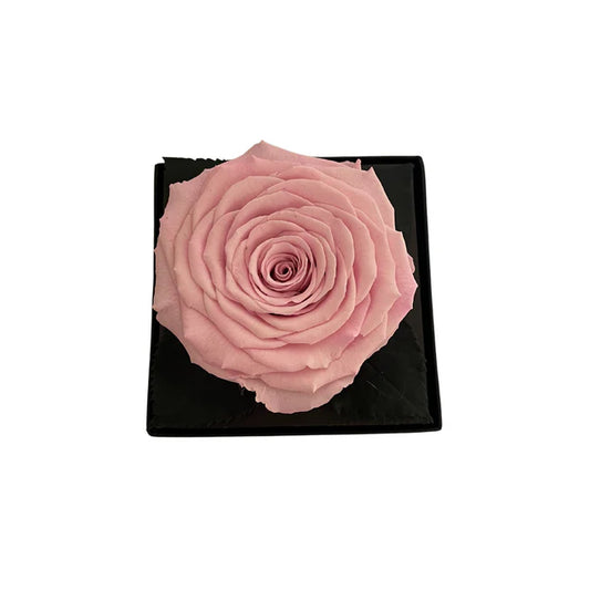 CAJA DE REGALO ACRILICA - CON ROSA PINK