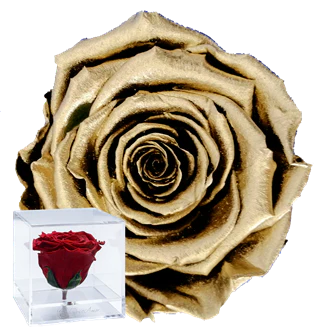 CUBO ACRILICO - CON ROSA GOLD