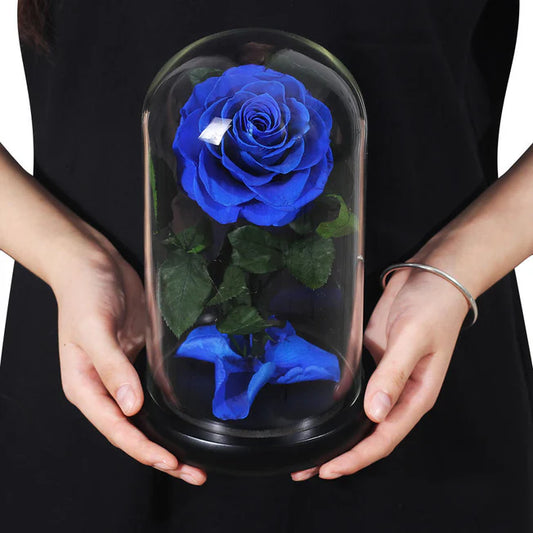 ROSA EN CÚPULA DE CRISTAL - INSPIRACION DE "LA BELLA Y LA BESTIA"