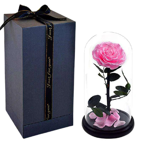 ROSA EN CÚPULA DE CRISTAL - INSPIRACION DE "LA BELLA Y LA BESTIA"