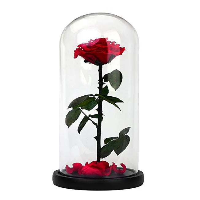 ROSA EN CÚPULA DE CRISTAL - INSPIRACION DE "LA BELLA Y LA BESTIA"