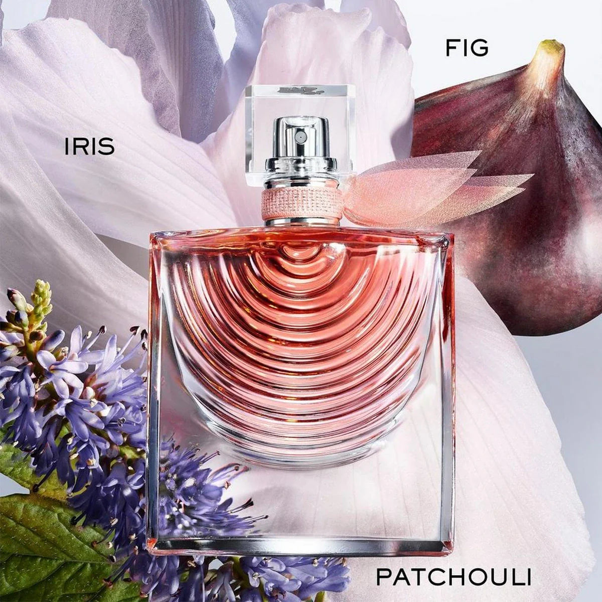 LA VIE EST BELLE IRIS ABSOLU - EAU DE PARFUM FOR WOMAN  3.4 OZ / 100ML